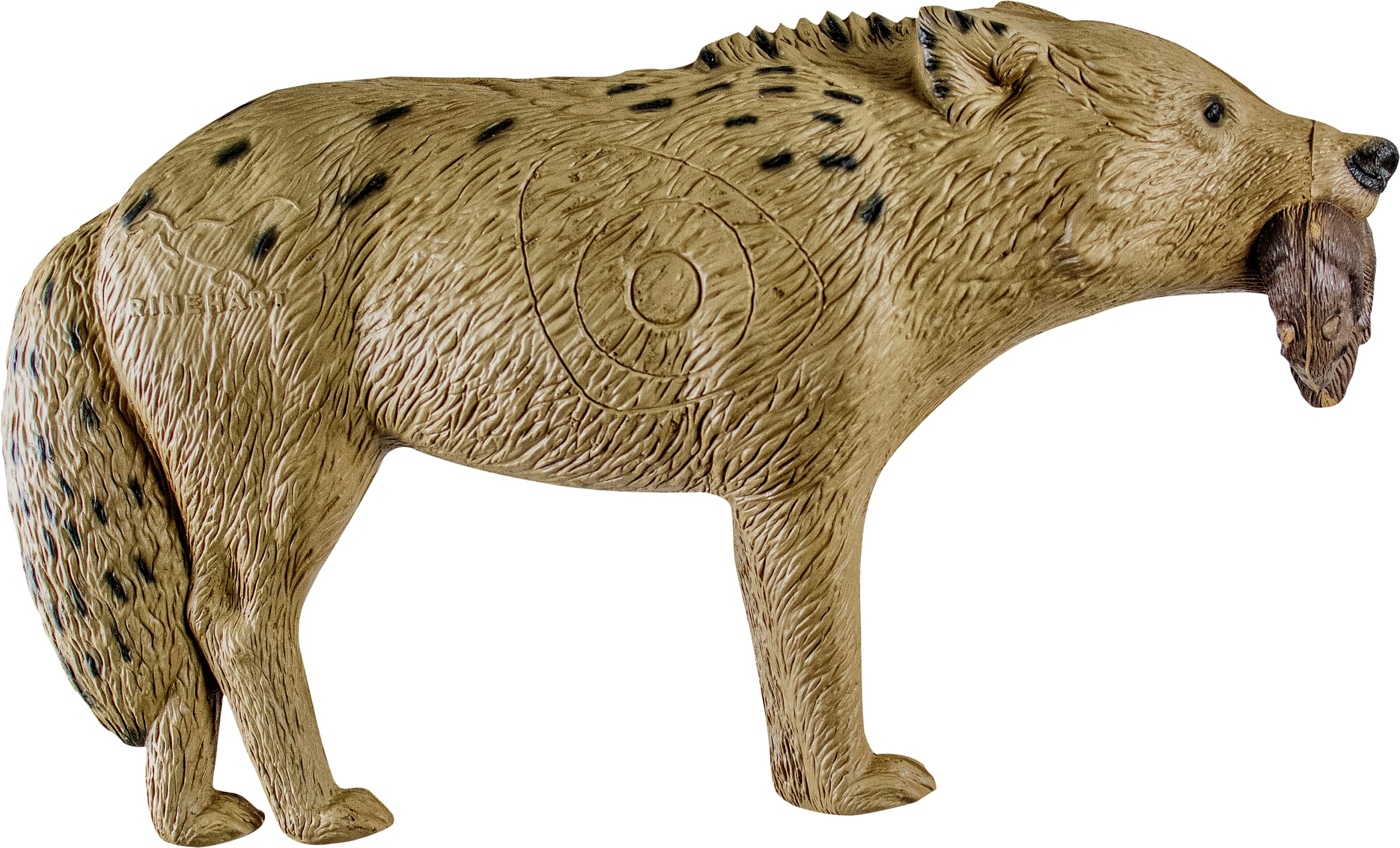 Rinehart Signature Coyote 3D Archery Target Cabela's